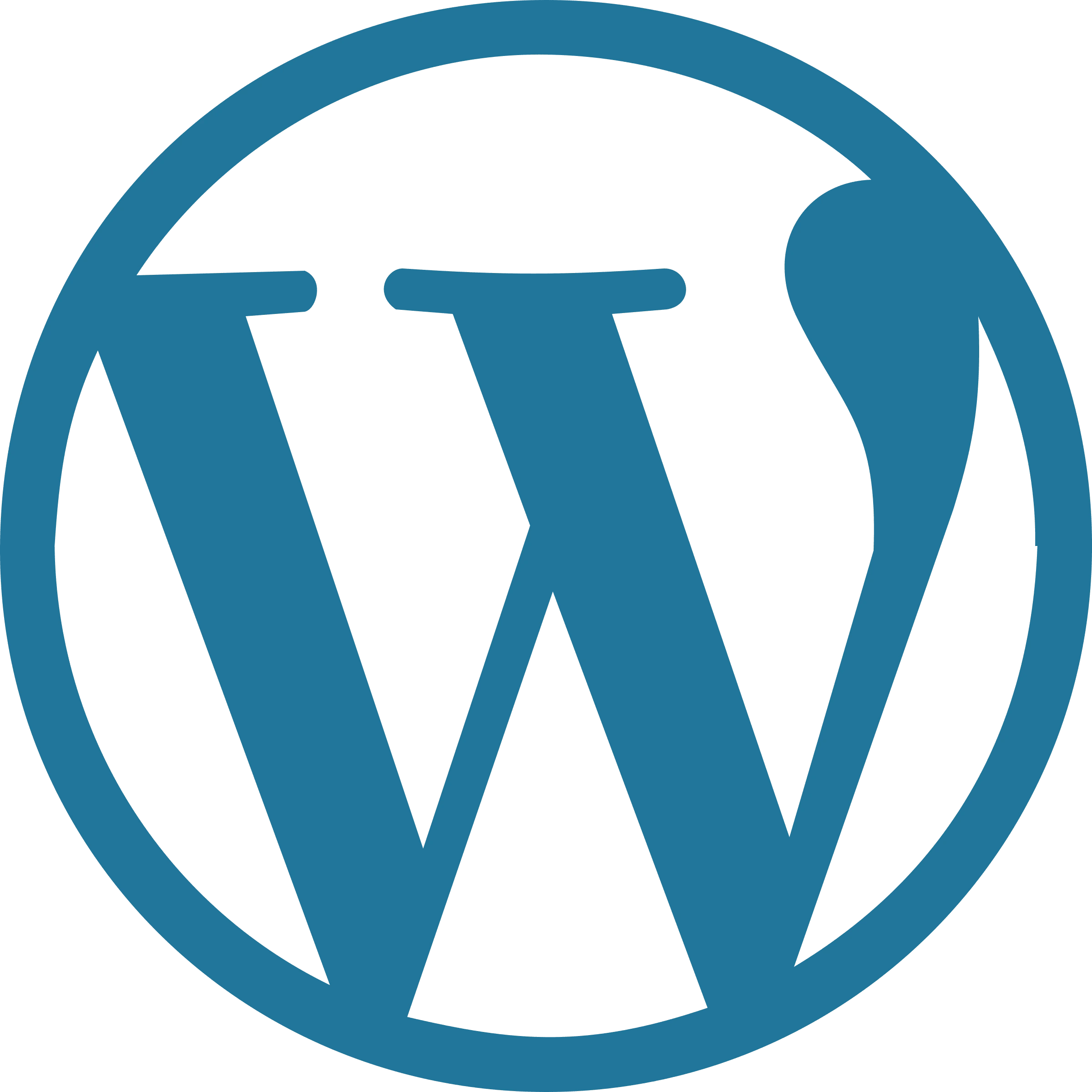 WordPress Developer